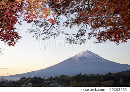 富士秋 69202983