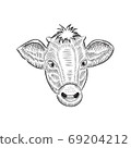 Cow head sketch vector illustration 69204212