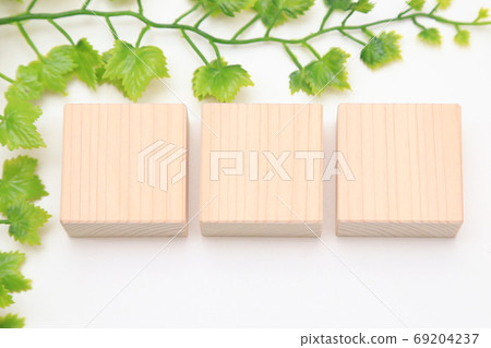 Square cypress blocks and fresh green text space copy space Square cypress blocks and fresh green text space copy space 69204237