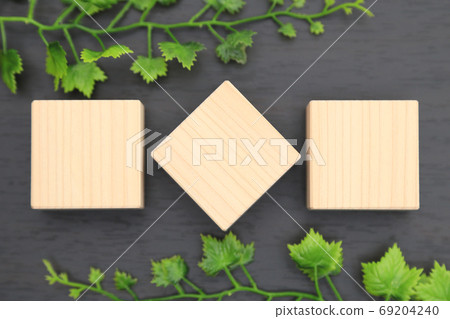 方形柏塊和新鮮的綠色文本空間複製空間 方形柏塊和新鮮的綠色文本空間複製空間 69204240