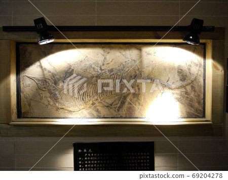 黃果奇石博物館 69204278