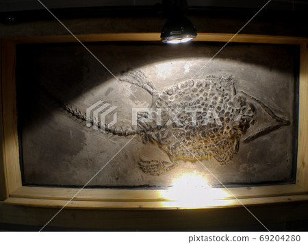 黃果奇石博物館 69204280