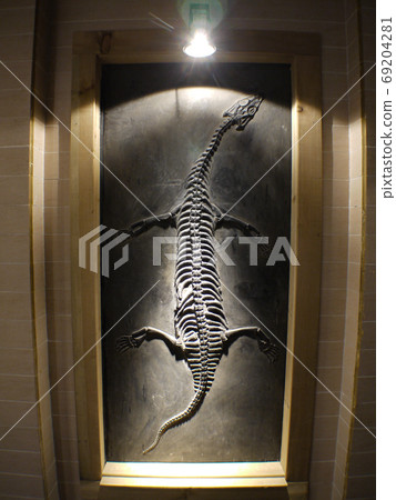 黃果奇石博物館 69204281