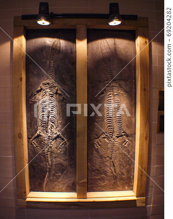 黃果奇石博物館 69204282