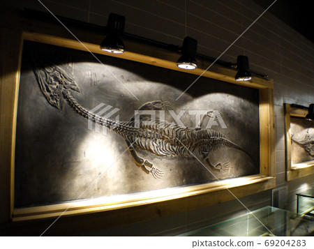 黃果奇石博物館 黃果奇石博物館 69204283