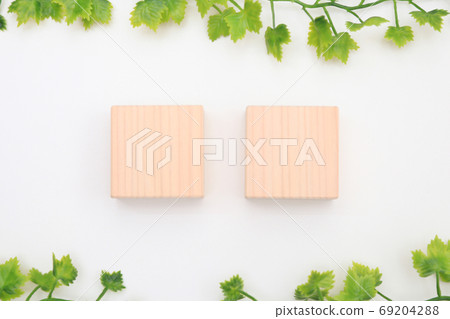 方形柏塊和新鮮的綠色文本空間複製空間 69204288