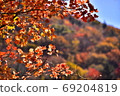 Autumn colors 69204819