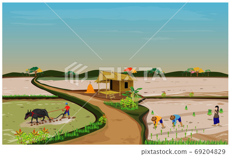 farmer work in paddy field vector design - Stock Illustration [69204829 ...