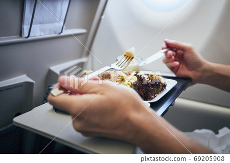 Airline meal served during flight Airline meal served during flight 69205908
