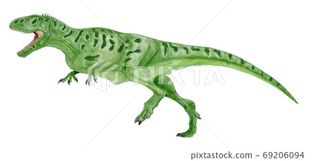 Calcarodontosaurus, a large theropod of the Early Cretaceous lizard with shark teeth. The largest carnivorous dinosaur ever. 69206094