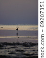 Sea and birds 69207351