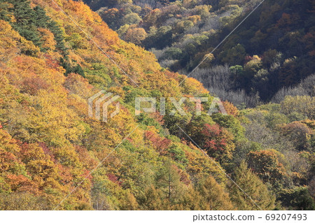 Mountains of autumn leaves 69207493