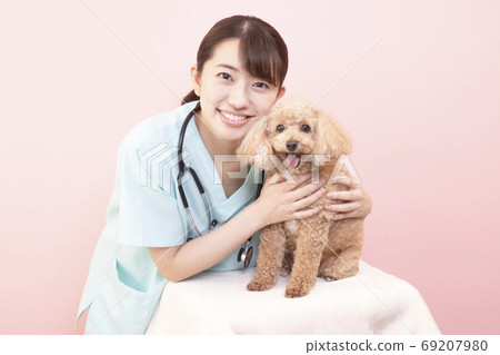 Toy poodle and female veterinarian smiling with sticking out tongue 69207980