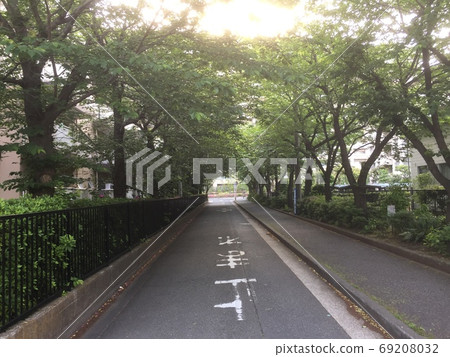 Shaded tunnel 69208032