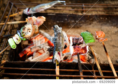 Grilled oven 69209009