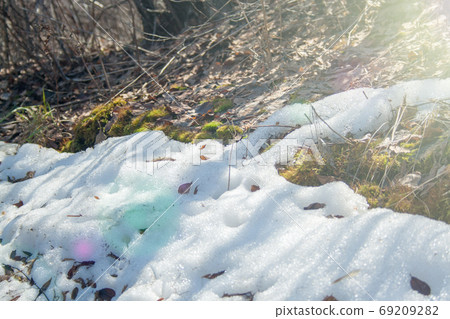 Melting snow with green moss 69209282