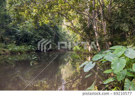THAILAND PHETBURI KAENG KRACHAN NATIONAL PARK THAILAND PHETBURI KAENG KRACHAN NATIONAL PARK 69210577
