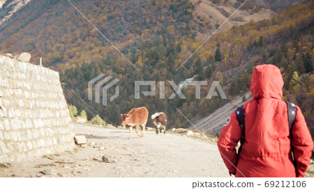 solo traveler in red jacket on a road trip walking alone in dirt road surrounded by mountain solo traveler in red jacket on a road trip walking alone in dirt road surrounded by mountain 69212106