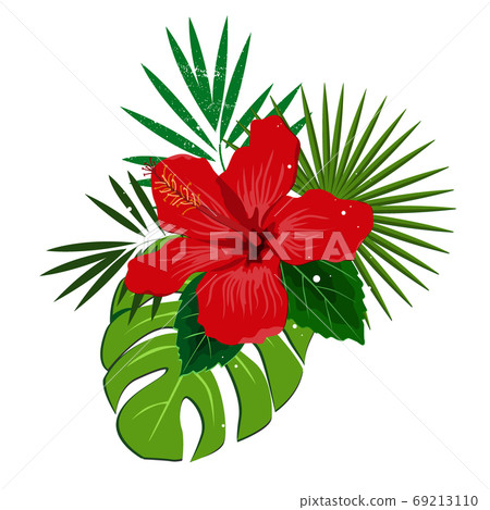 Bouquet composition with red hibiscus flower and palm leaves, flat vector illustration. Tropical exotic Hawaii plants isolated on white 69213110