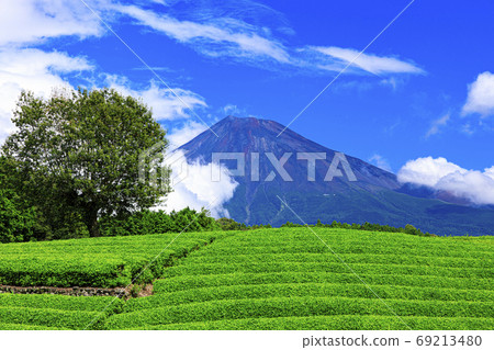 Early autumn (autumn fine weather) of Obuchi Sasaba, which is famous for the tea plantation where Mt. Fuji can be seen Early autumn (autumn fine weather) of Obuchi Sasaba, which is famous for the tea plantation where Mt. Fuji can be seen 69213480
