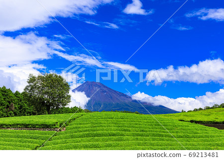 Early autumn (autumn fine weather) of Obuchi Sasaba, which is famous for the tea plantation where Mt. Fuji can be seen 69213481