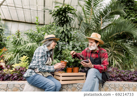 Horizontal shot of lovely elderly couple man and woman, gardeners, wearing hats and casual shirts, sitting in greenhouse and analyzing amount of green plants and using tablet pc Horizontal shot of lovely elderly couple man and woman, gardeners, wearing hats and casual shirts, sitting in greenhouse and analyzing amount of green plants and using tablet pc 69214733