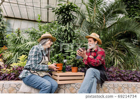 Portrait of attractive senior couple of gardeners in straw hats and checkered shirts, sitting among green plants in orangery and making calculations of flowerpots and recording it on ipad tablet 69214734