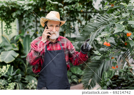 Gardening concept, work in hothouse. Handsome bearded senior man gardener, wearing working clothes and hat, posing in greenhouse, while talking on his phone with clients Gardening concept, work in hothouse. Handsome bearded senior man gardener, wearing working clothes and hat, posing in greenhouse, while talking on his phone with clients 69214742