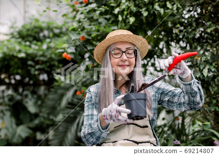 Planting and gardening concept. Senior Caucasian woman gardener in straw hat, apron and gloves holding plant pot and garden spade with soil, while transplanting plants in greenhouse. 69214807