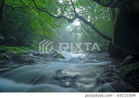 Kikuchi Valley in the morning Kikuchi Valley in the morning 69215894
