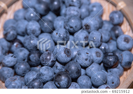 藍莓栽培 69215912