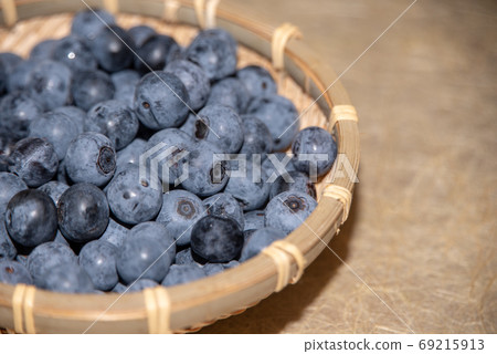 藍莓栽培 69215913