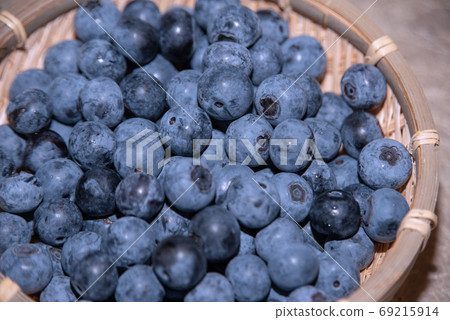 藍莓栽培 69215914