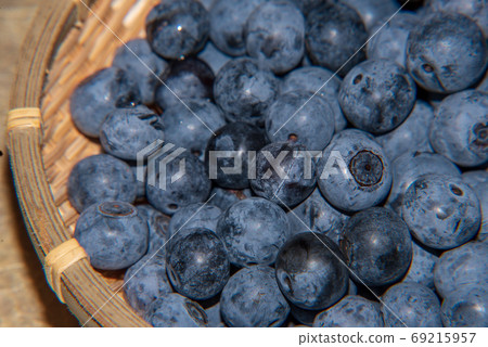 藍莓栽培 69215957