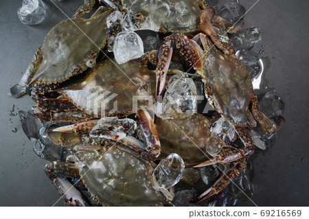 Autumn crab, seasonal crab 69216569