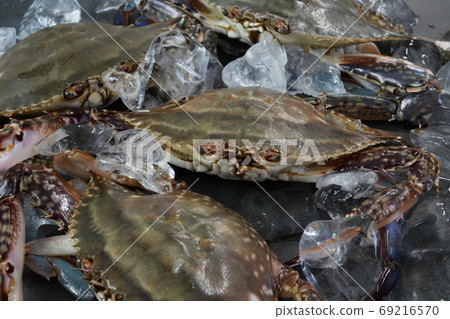 Autumn crab, seasonal crab 69216570
