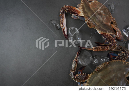 Autumn crab, seasonal crab Autumn crab, seasonal crab 69216573
