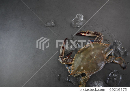 Autumn crab, seasonal crab 69216575