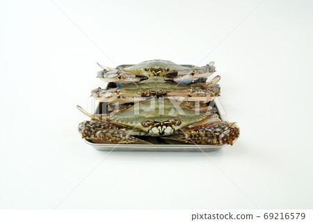 Autumn crab, seasonal crab 69216579