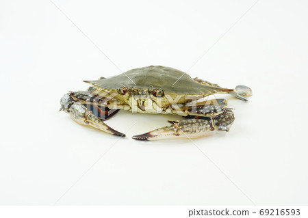 Autumn crab, seasonal crab Autumn crab, seasonal crab 69216593