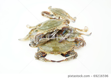 Autumn crab, seasonal crab Autumn crab, seasonal crab 69216596