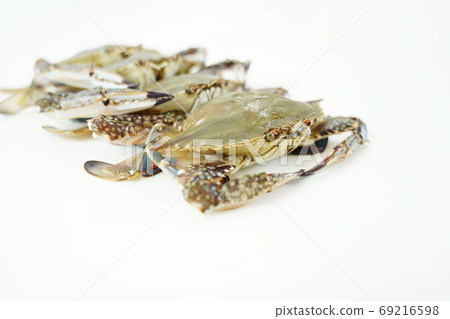 Autumn crab, seasonal crab 69216598