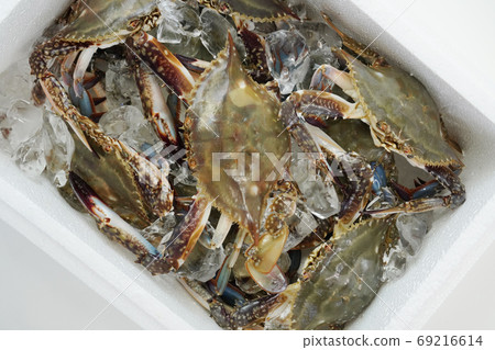 Autumn crab, seasonal crab Autumn crab, seasonal crab 69216614