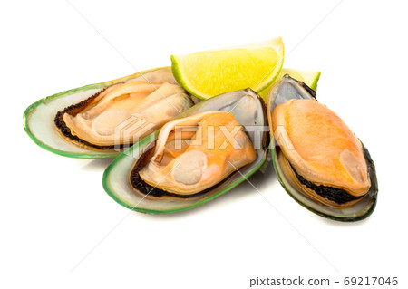 New Zealand greenshell mussels New Zealand greenshell mussels 69217046