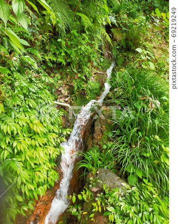 泉水綠色之路 泉水綠色之路 69219249