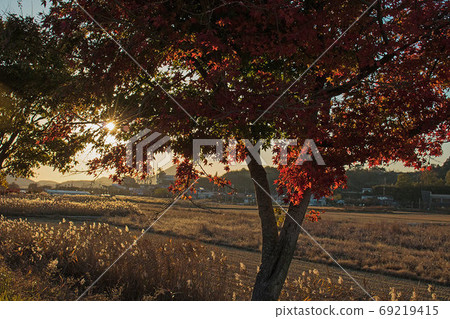 Beautiful road Beautiful road 69219415