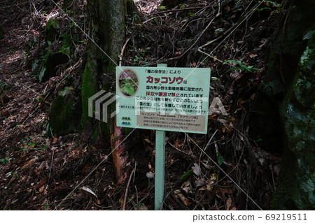 Gunma Hyakunakusan, Gunma Prefecture, Narugami Mountain in Kiryu City, Hiking Road near Kawauchi Komagata Trailhead Gunma Hyakunakusan, Gunma Prefecture, Narugami Mountain in Kiryu City, Hiking Road near Kawauchi Komagata Trailhead 69219511