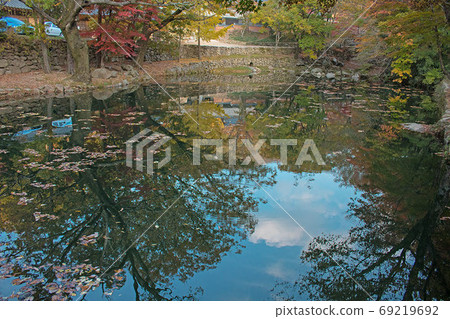 autumn autumn 69219692