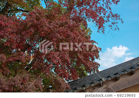 autumn autumn 69219693