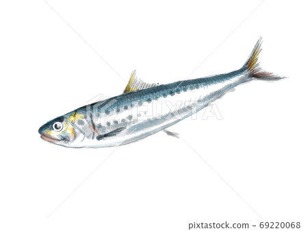 沙丁魚_D手繪-無字母 69220068